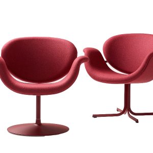 Header_Tulip_Midi_v1